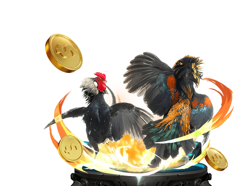 Đá gà trực tuyến ev99 bet